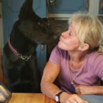 foto av Sollentuna Kraftsportklubb