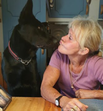 foto av Sollentuna Kraftsportklubb