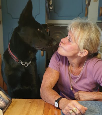 foto av Sollentuna Kraftsportklubb