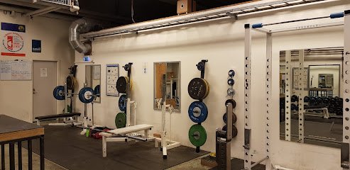 foto av Sommarhemmets Kraftsport