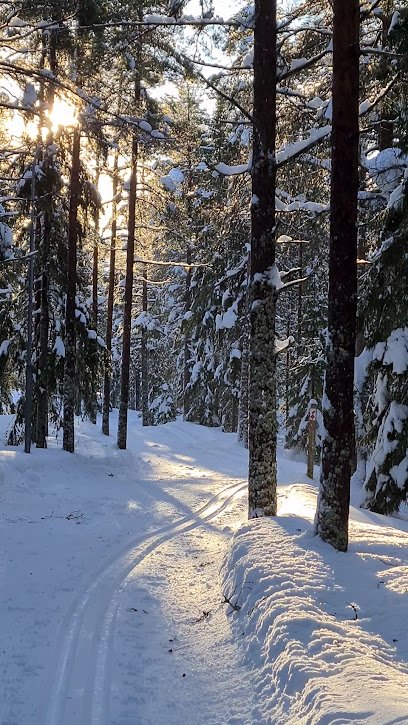 foto av Stadslidens elljuspår 10 km
