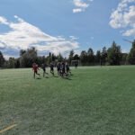 foto av Strömbacka plastgräs