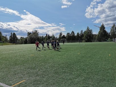 foto av Strömbacka plastgräs