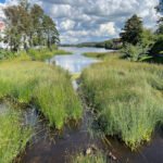 foto av Strömstads Roddklubb