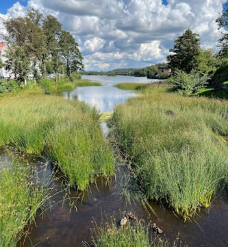 foto av Strömstads Roddklubb