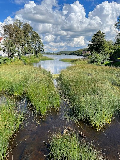 foto av Strömstads Roddklubb