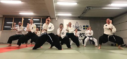 foto av Taidokan Dojo