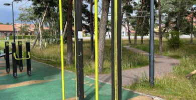 foto av Talldungens utegym/Tallskogsslingan