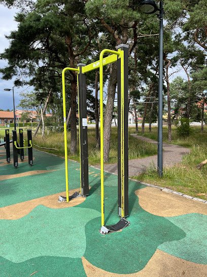 foto av Talldungens utegym/Tallskogsslingan