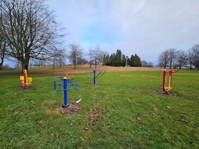 foto av Tåstorpsparkens Utegym