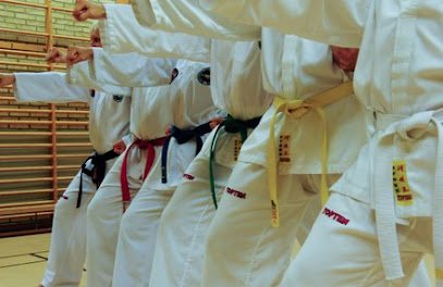 foto av Trollhättans ITF Taekwon-Do