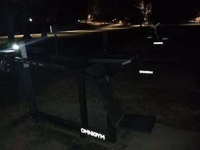 foto av Utegym Brunnsparken