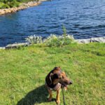 foto av Vägga havsbad utegym