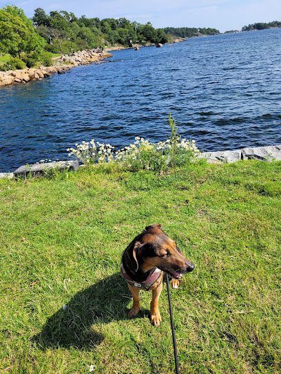 foto av Vägga havsbad utegym