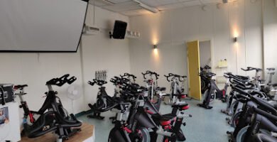 foto av Videdals GIF