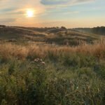 foto av Ystads Backar MTB