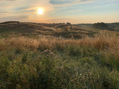 foto av Ystads Backar MTB